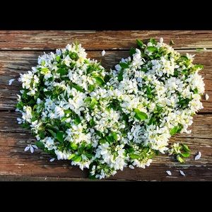 Meet your Posher, Lidya